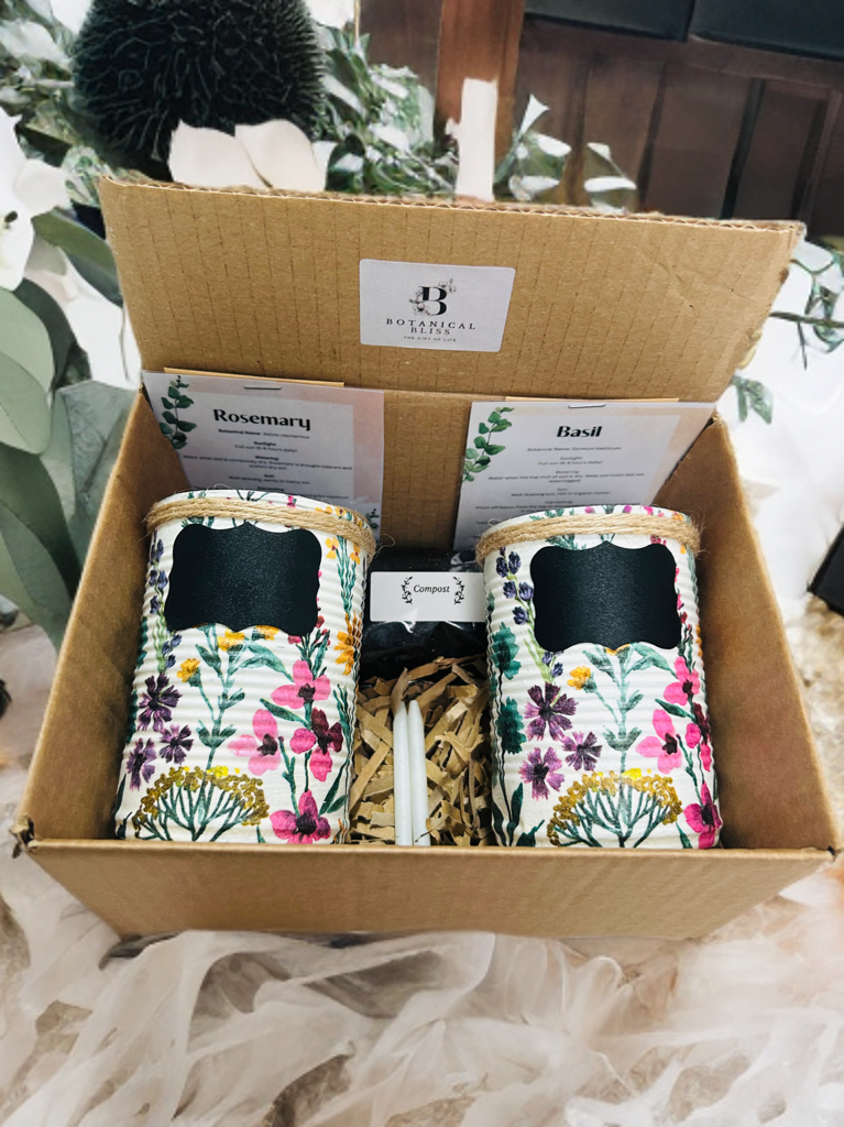 Wild Meadow Grow Your Own Herb Garden Gift Set