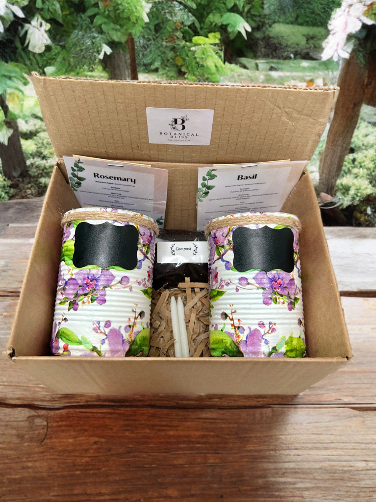 Lilac Watercolour Orchid Grow Your Own Gift Set