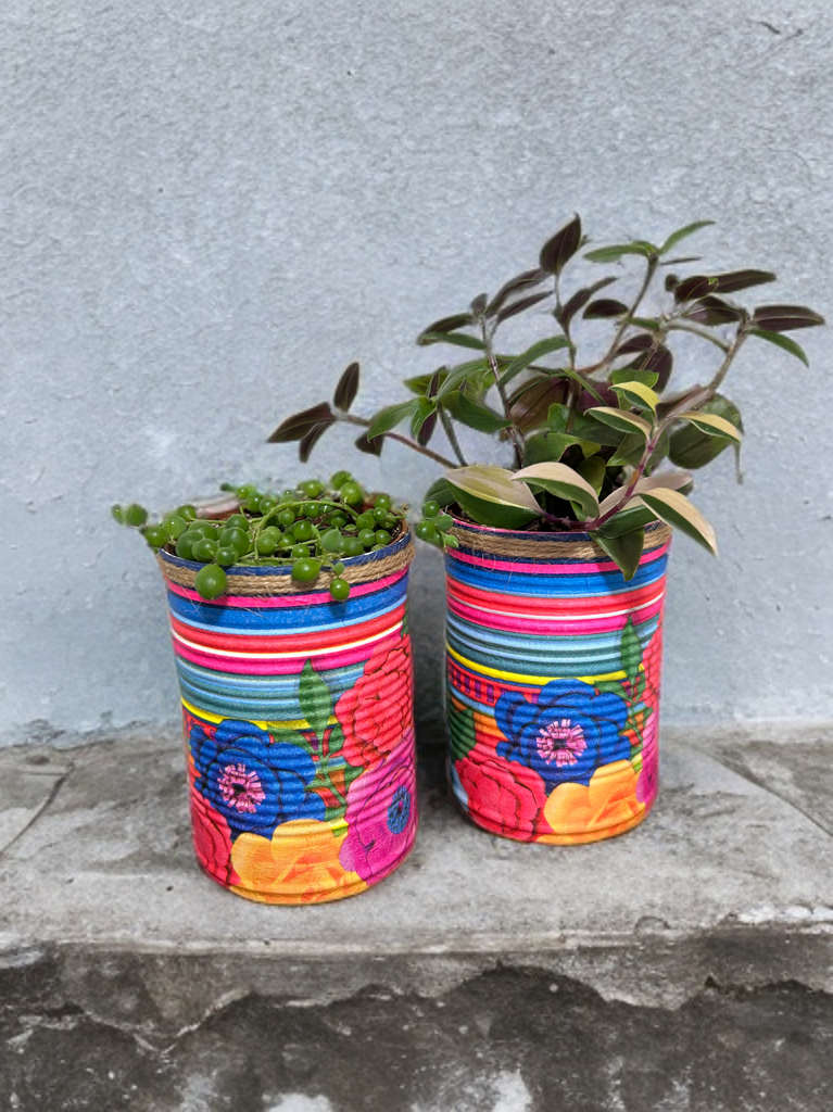 Fiesta Bloom Grow Your Own Herb Garden Gift Set