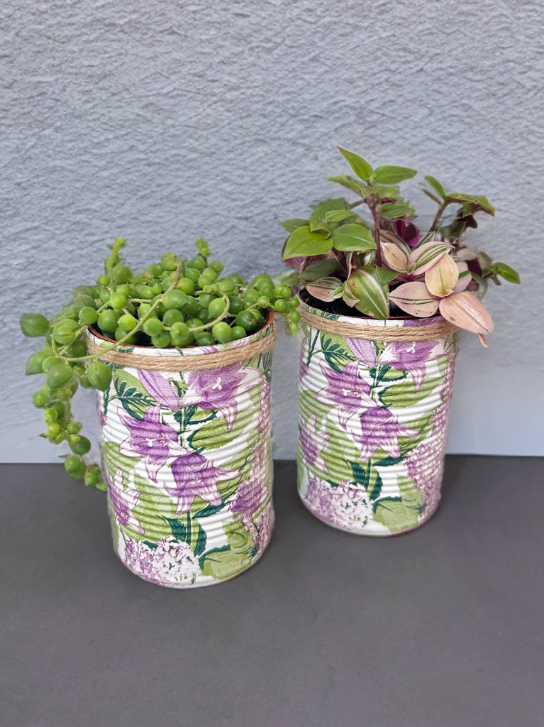 Lilac Lily & Hydrangea Grow Your Own Herbs Garden Gift Set