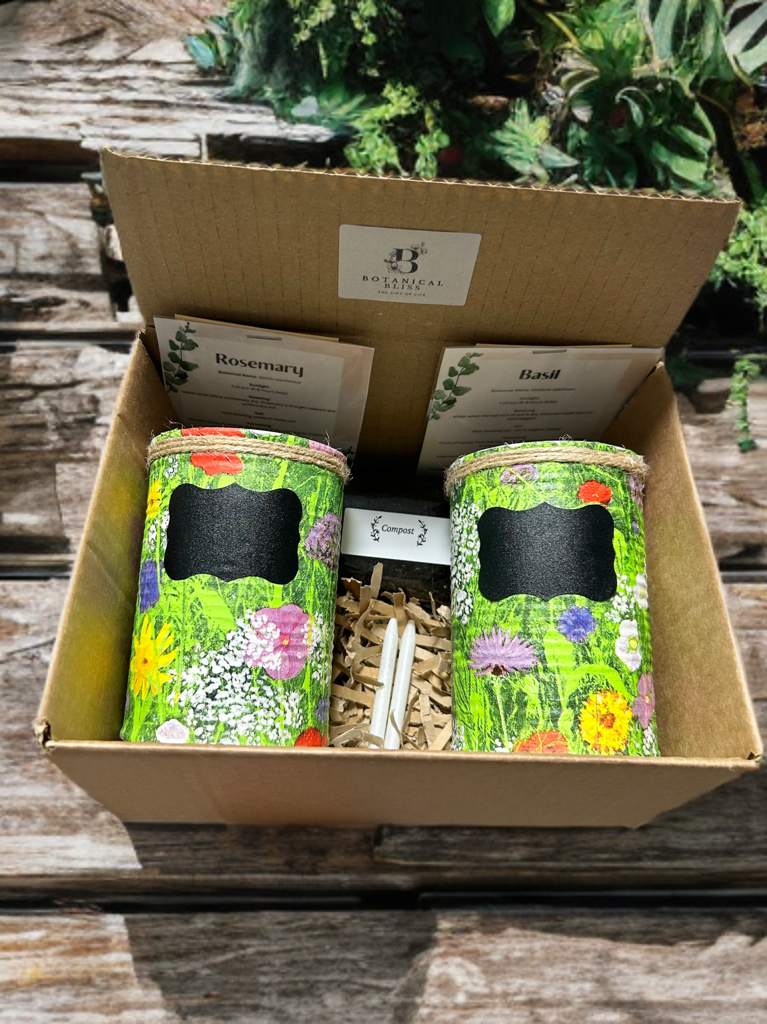 Green Grass Meadow Grow Your Own Herbs Gift Set