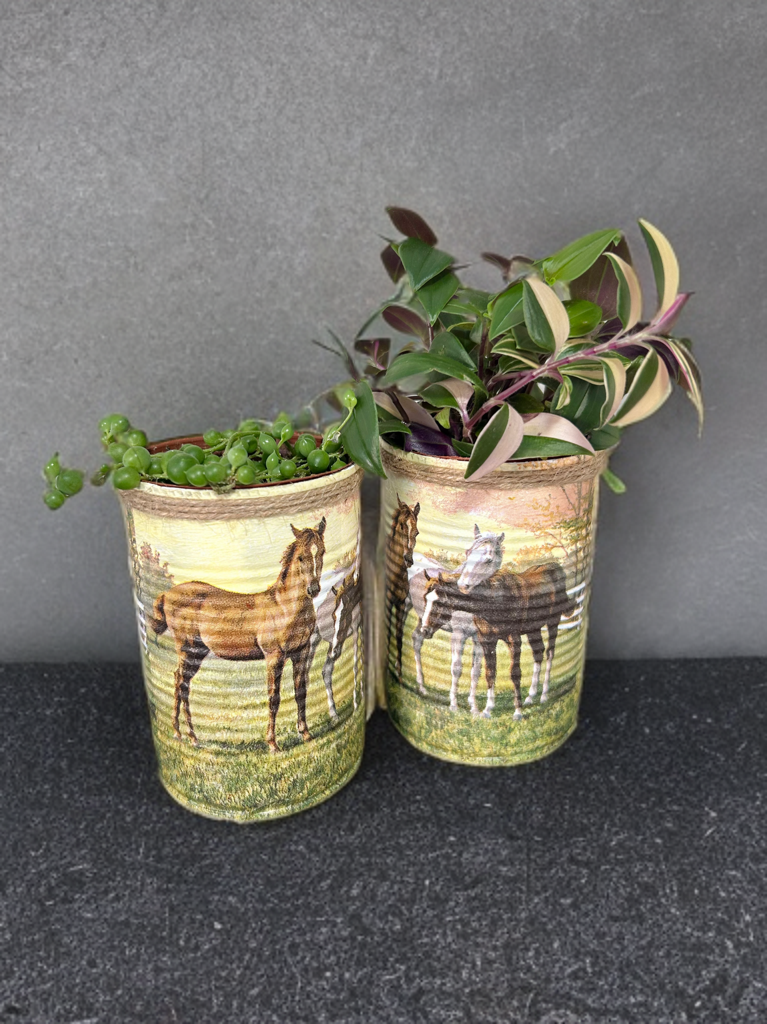 Horse Meadow Grow Your Own Herb Garden Gift Set