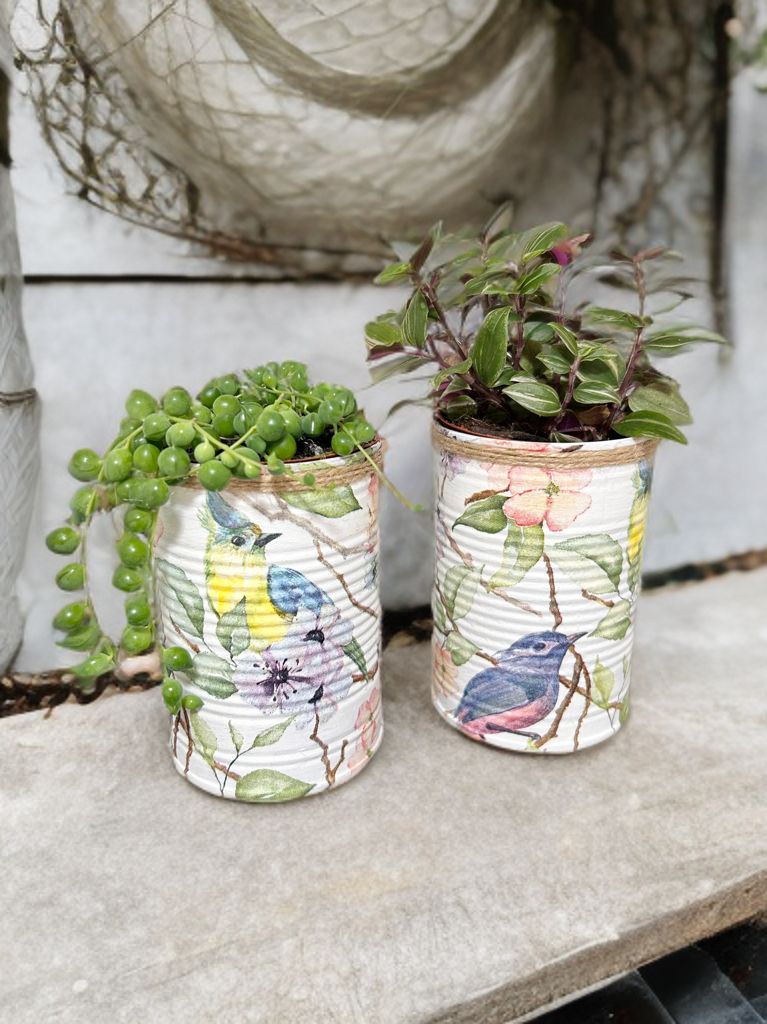 Spring Bird Grow Your Own Herb Gift Set