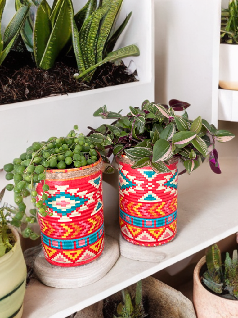 Red Yellow Blue Aztec Tribal Grow Your Own Herbs Garden Gift Set