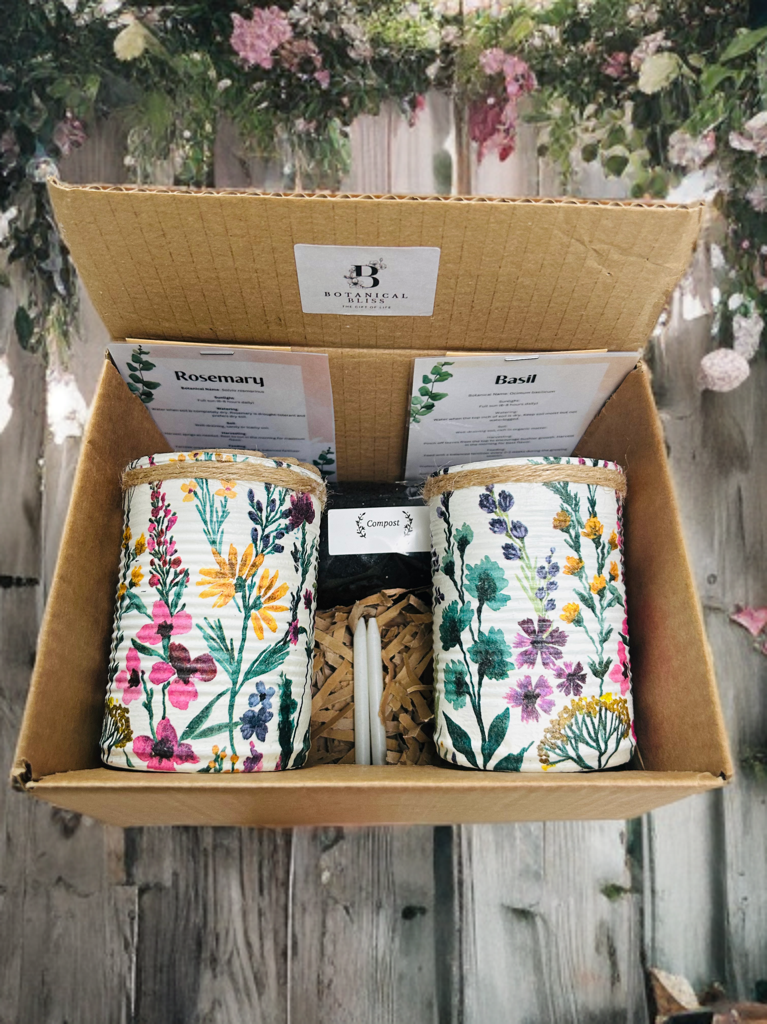 Wild Meadow Grow Your Own Herb Garden Gift Set