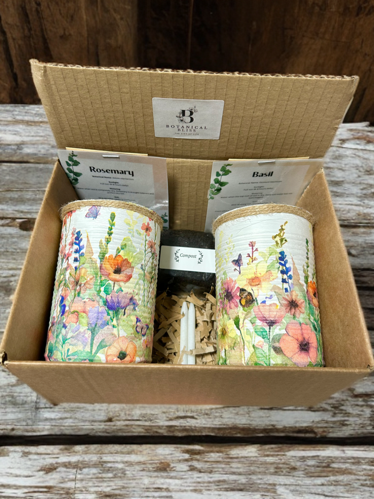 Fresh Wild Meadow Grow Your Own Herbs Gift Set