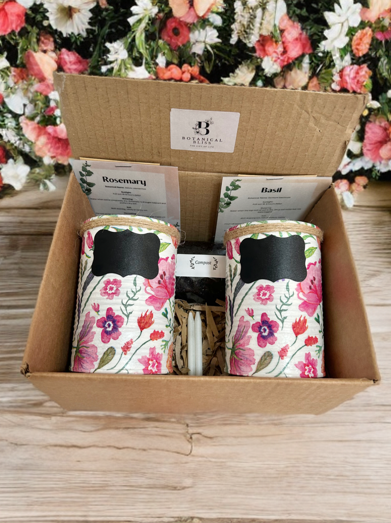 Whimsical Garden Grow Your Own Herbs Gift Set