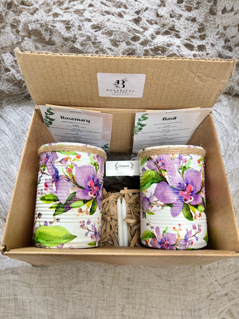 Lilac Watercolour Orchid Grow Your Own Gift Set