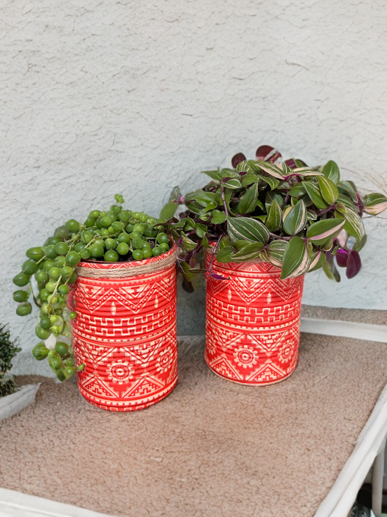 Red Aztec Tribal Grow Your Own Herbs Gift Set