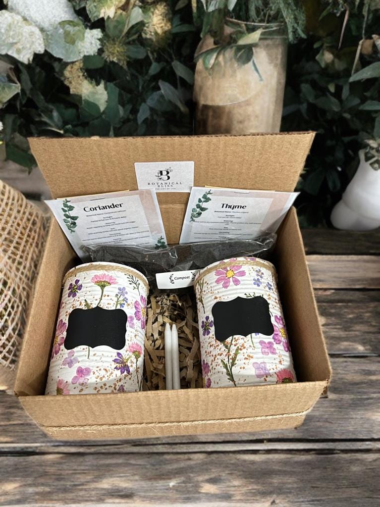 Lilac Fresh Meadow Grow Your Own Herbs Gift Set