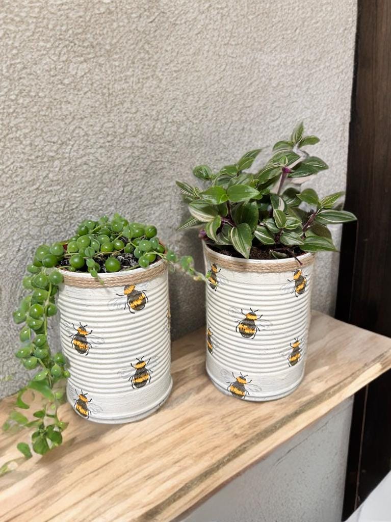 Honey Bee Rustic Grow Your Own Gift Set