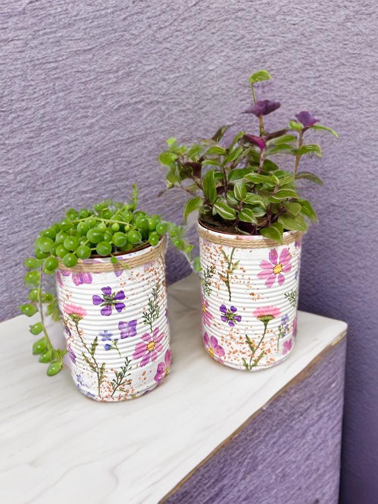 Lilac Fresh Meadow Grow Your Own Herbs Gift Set