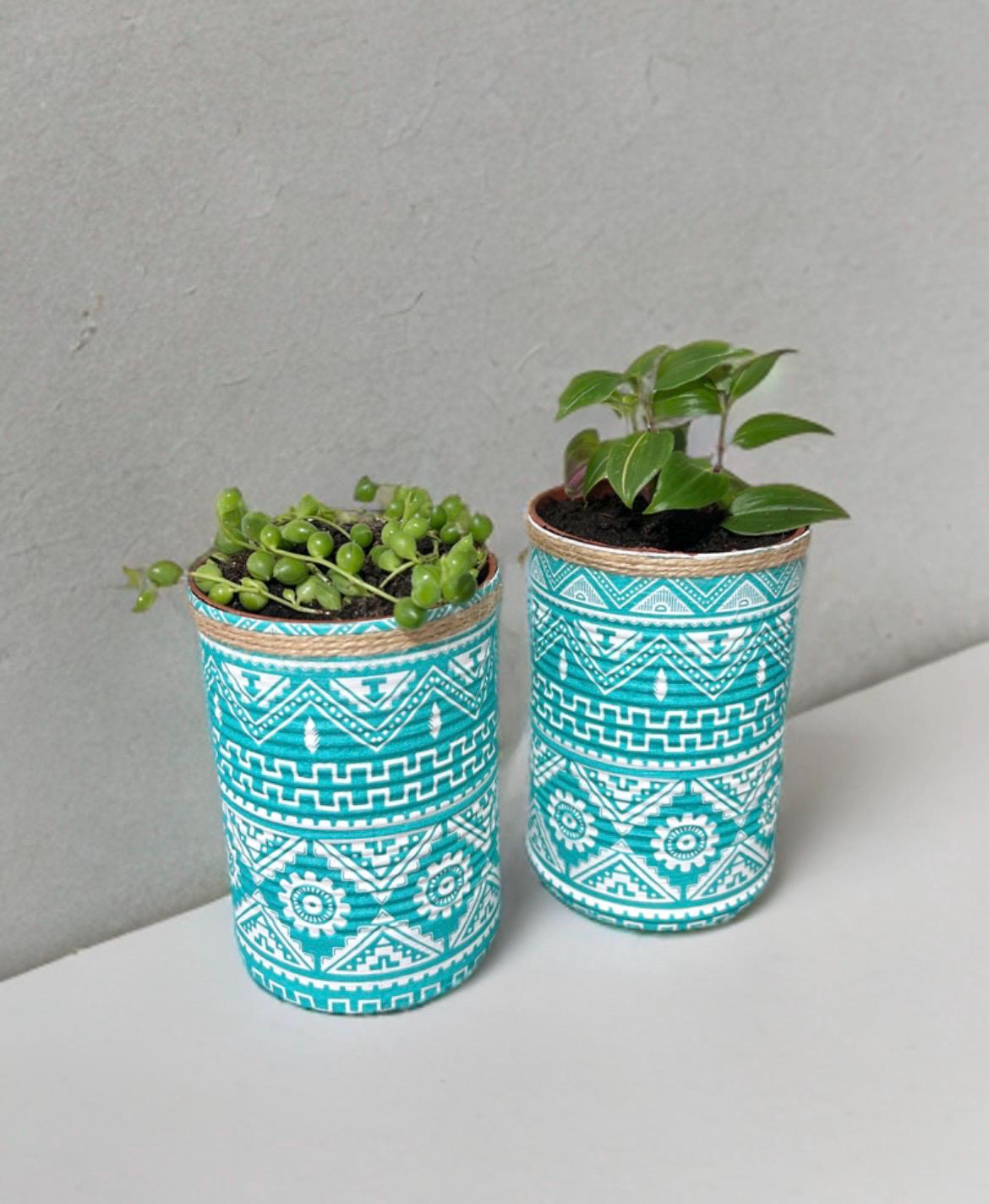 Teal Aztec Tribal Grow Your Own Herbs Garden Gift Set