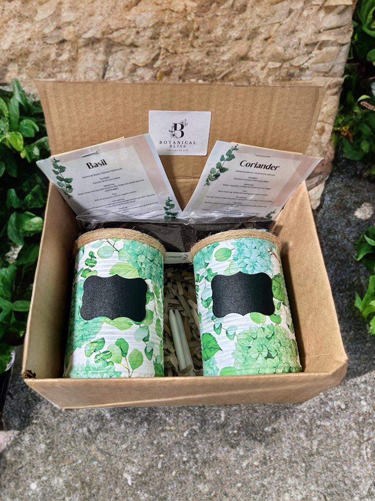 Green Hydrangea Floral Grow Your Own Herb Garden Gift Set