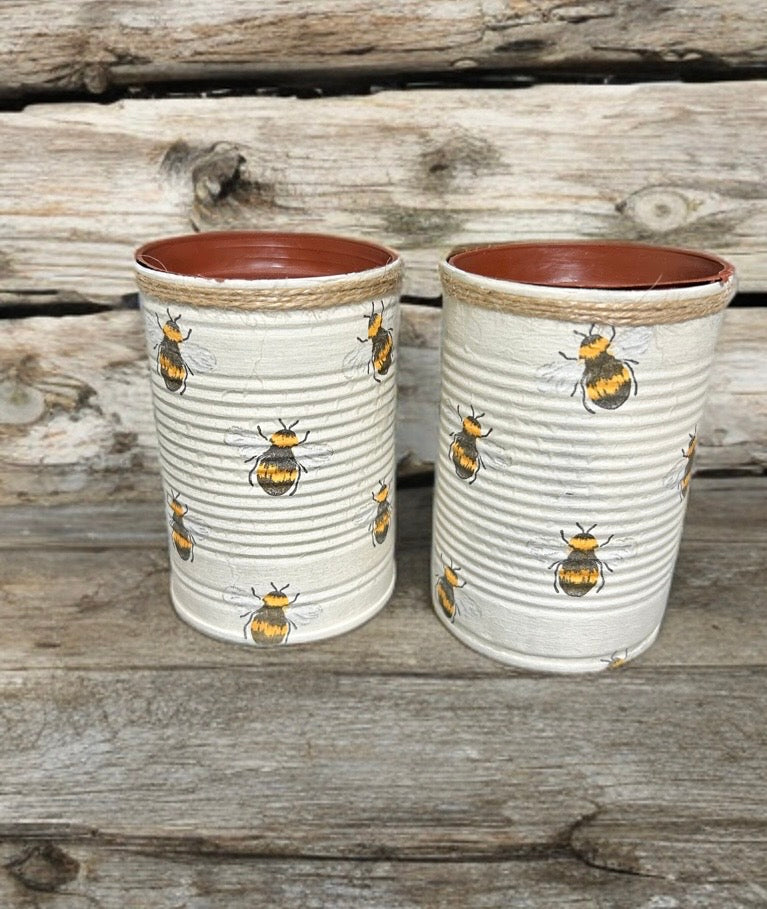 Honey Bee Rustic Grow Your Own Gift Set