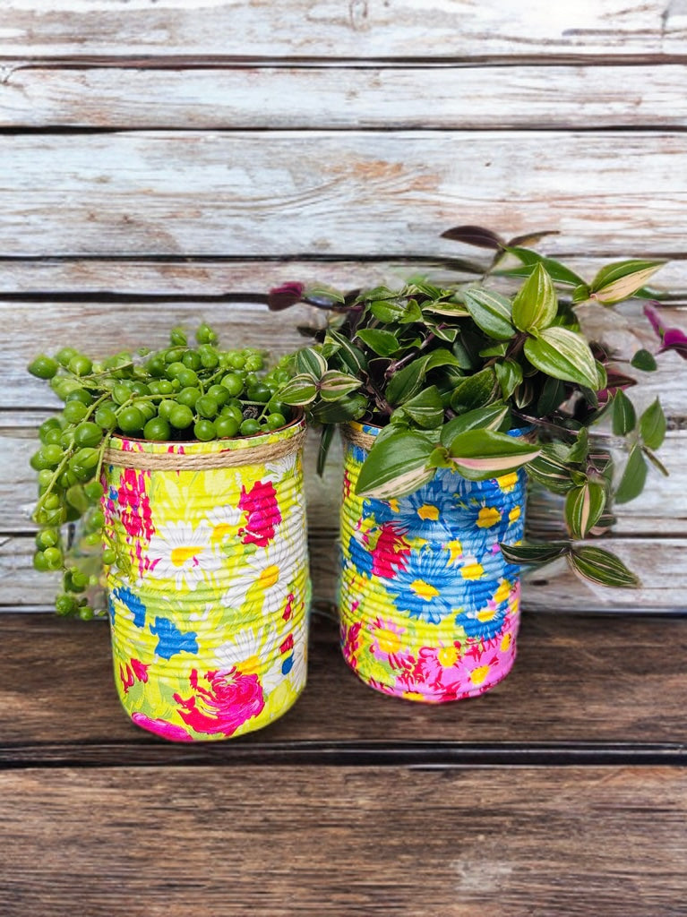 Neon Green Pink Blue Floral Grow Your Own Herbs Gift Set