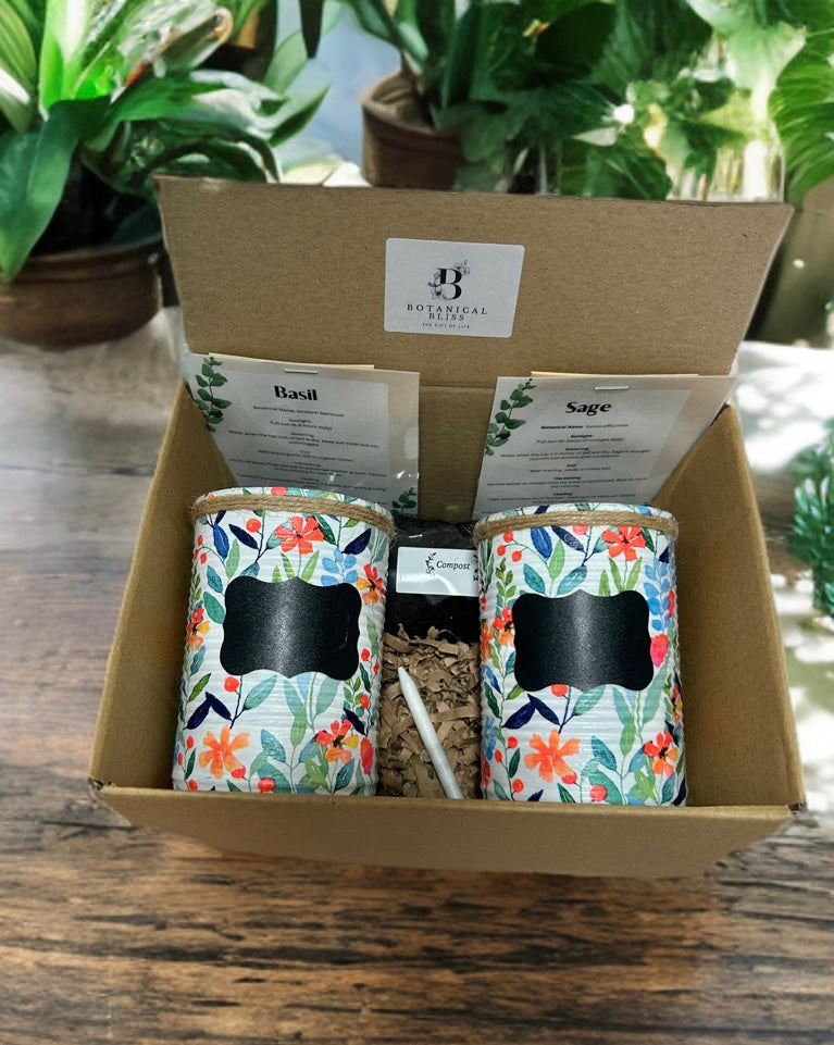 Wildflower Berry Bloom Grow Your Own Herb Garden Gift Set
