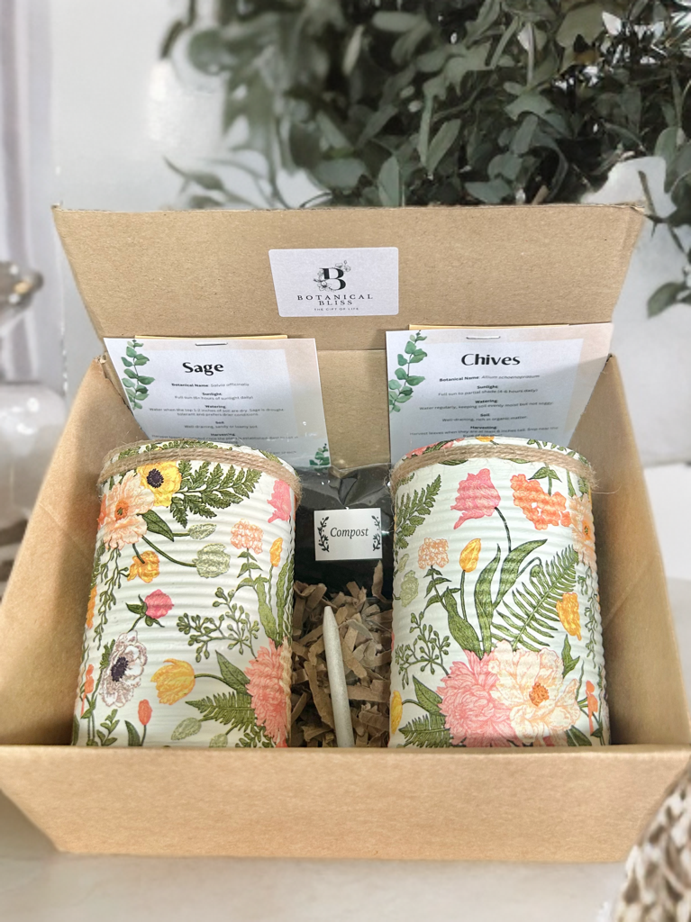 Enchanted Garden Grow Your Own Herb Garden Gift Set
