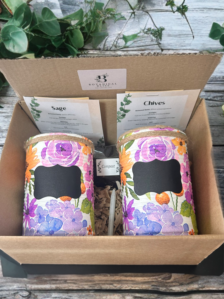 Lilac & Orange Cottage Bloom Grow Your Own Herb Garden Gift Set