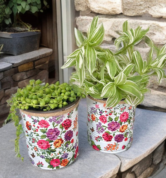 Vibrant Countryside Indoor House Plant Pot - 10cm