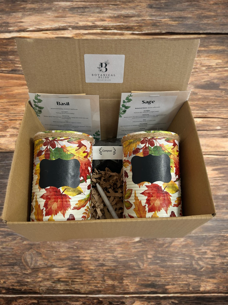 Navy Nature Leaf Umweltfreundliches Kräutergarten-Geschenkset – Ziehen Sie Ihre eigenen Kräuter in recycelten Töpfen, perfektes Geschenk für Gartenliebhaber! Kräuter für die Fensterbank