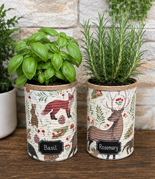 Wildtier-Kräutergarten-Geschenkset zum Selberziehen