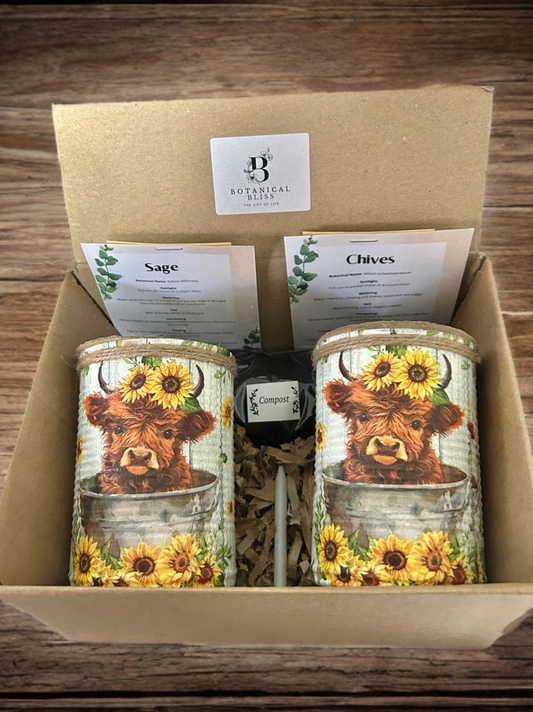 Highland Cow - Grow Your Own Herb Garden Gift Set