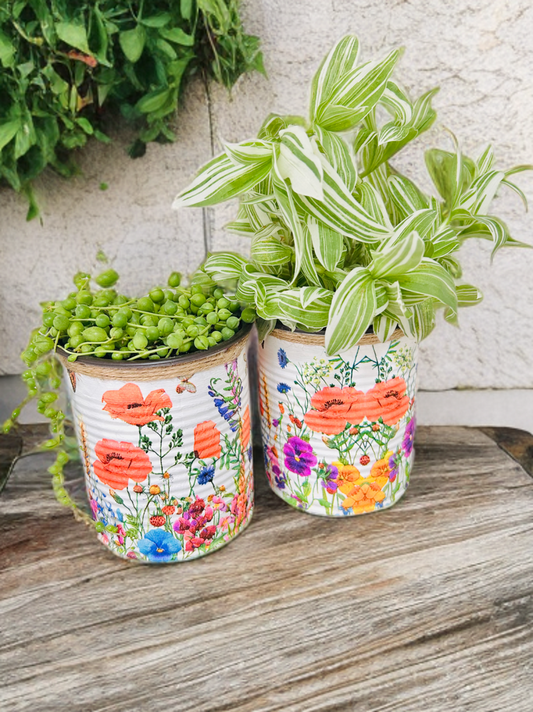 Vibrant Meadow Indoor House Plant Pot - 10cm