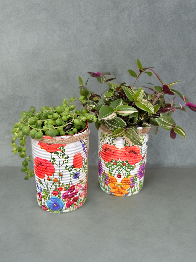 Vibrant Floral Meadow Grow Your Own Herbs Garden Gift Set