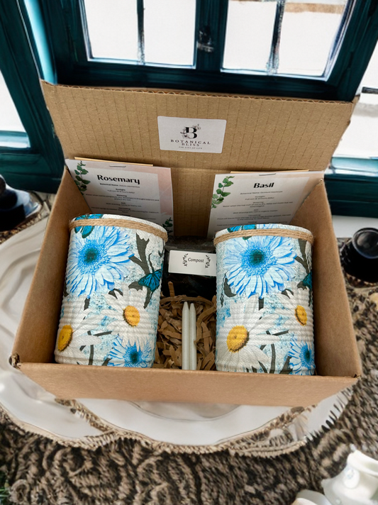 Large African Daisy Grow Your Own Herbs Gift Set