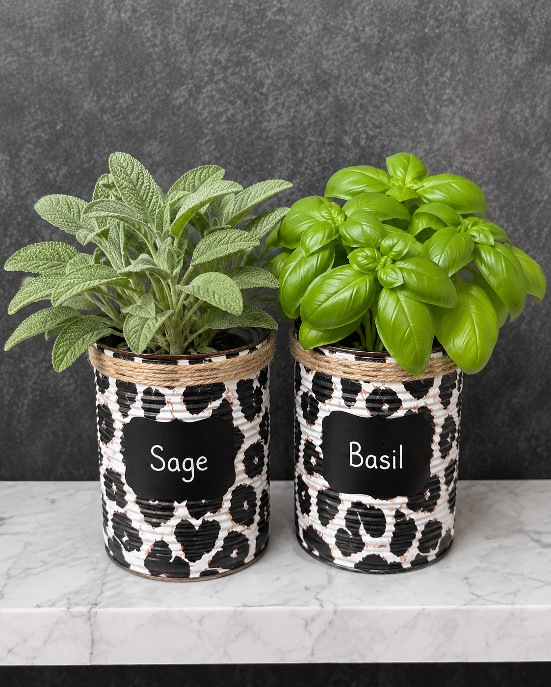 Schneeleopard-Druck Kräutergarten-Geschenkset zum Selbstziehen