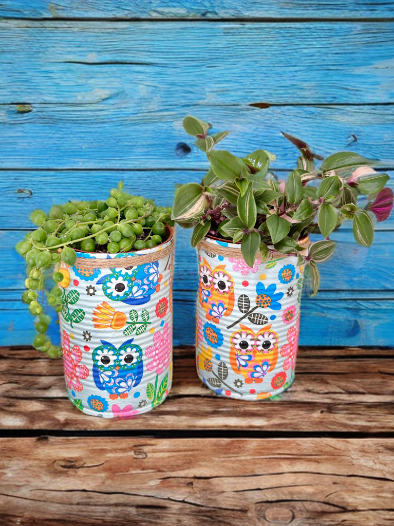 Retro Owl Grow Your Own Herbs Garden Gift Set