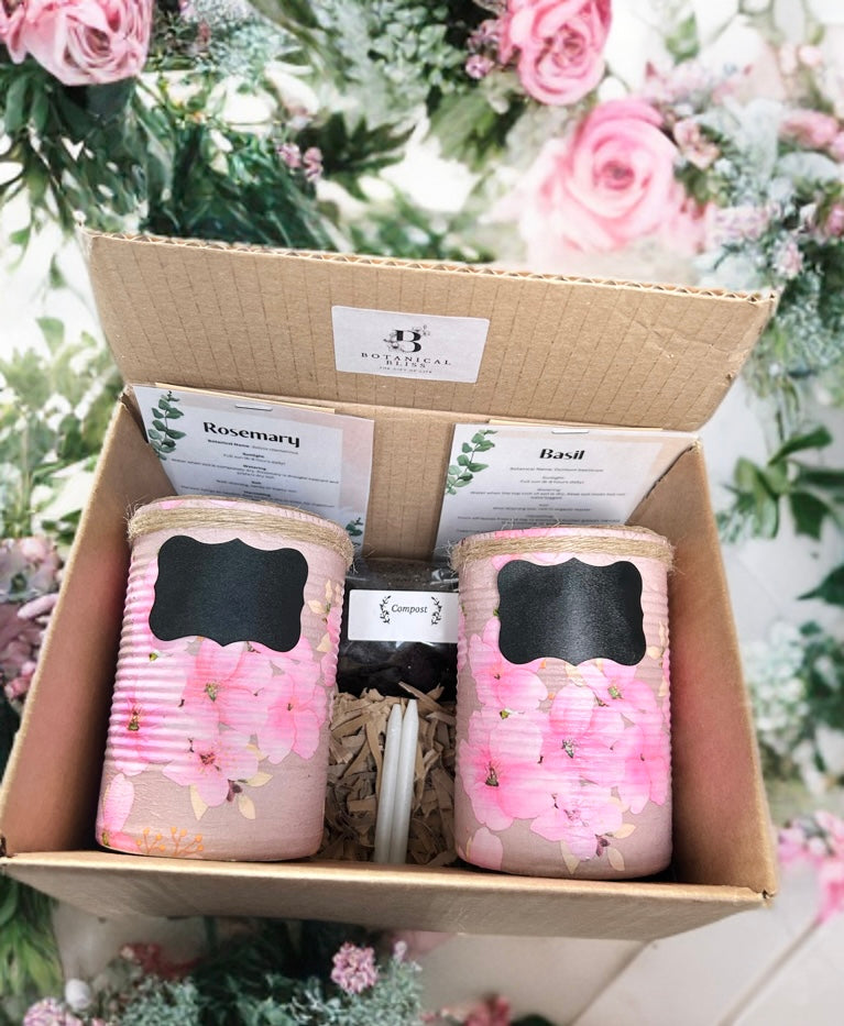Cherry Blossom Grow Your Own Herbs Gift Set