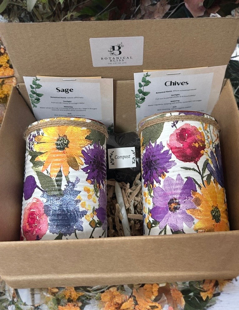Midnight Summer Grow Your Own Herb Garden Gift Set