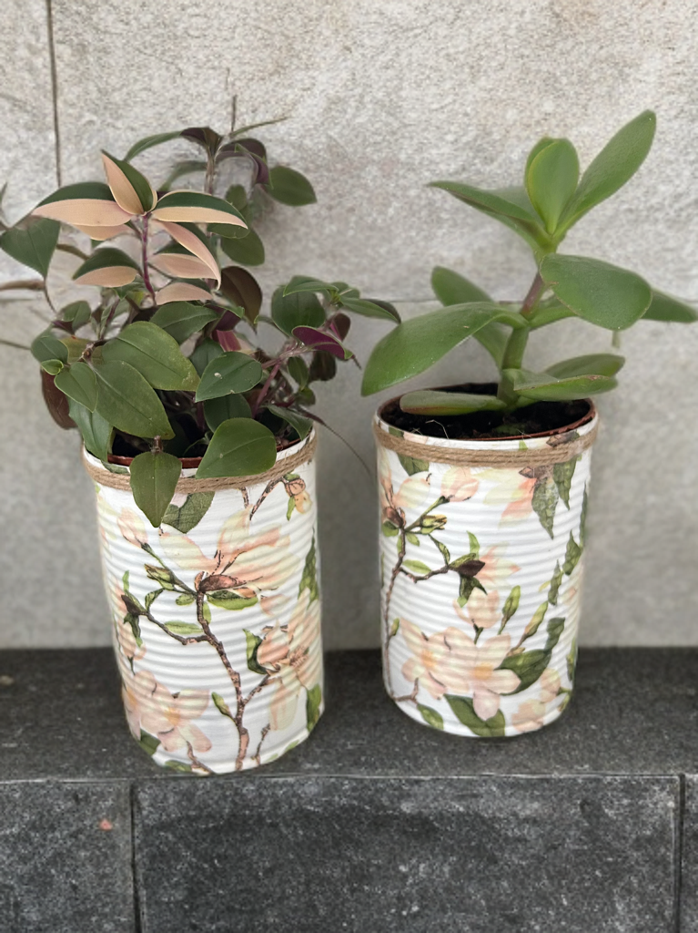 Cream Magnolia Floral Grow Your Own Herb Garden Gift Set