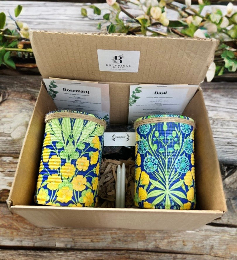 Gelb & Blau Blumen Grow Your Own Kräuter-Garten-Geschenkset