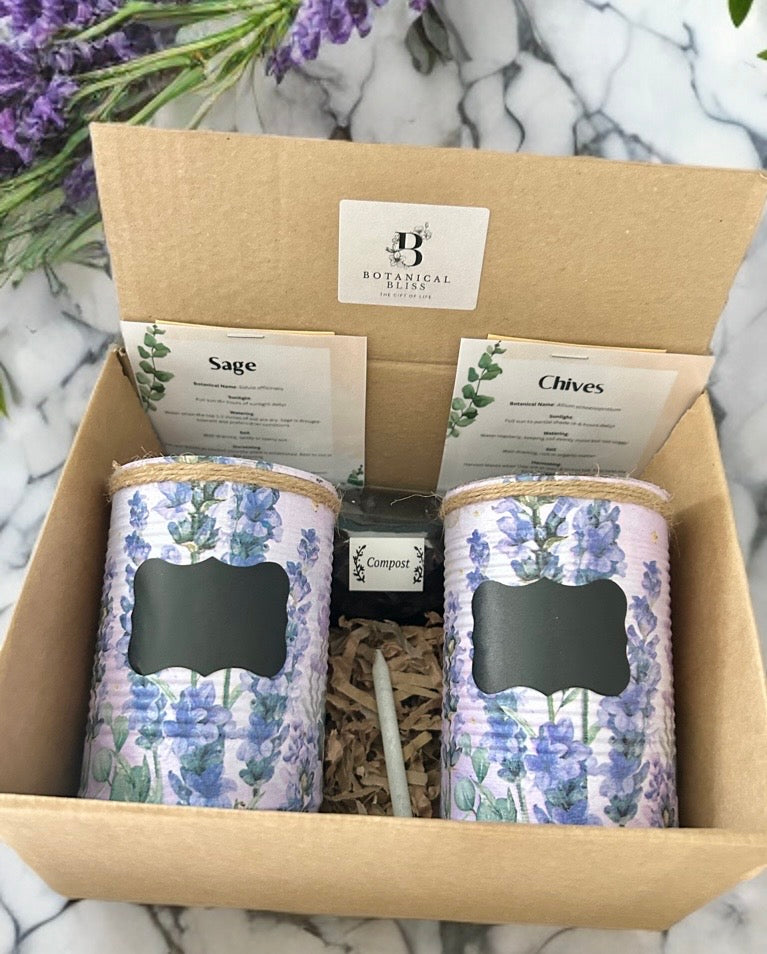 Lavender Floral Grow Your Own Herb Garden Gift Set