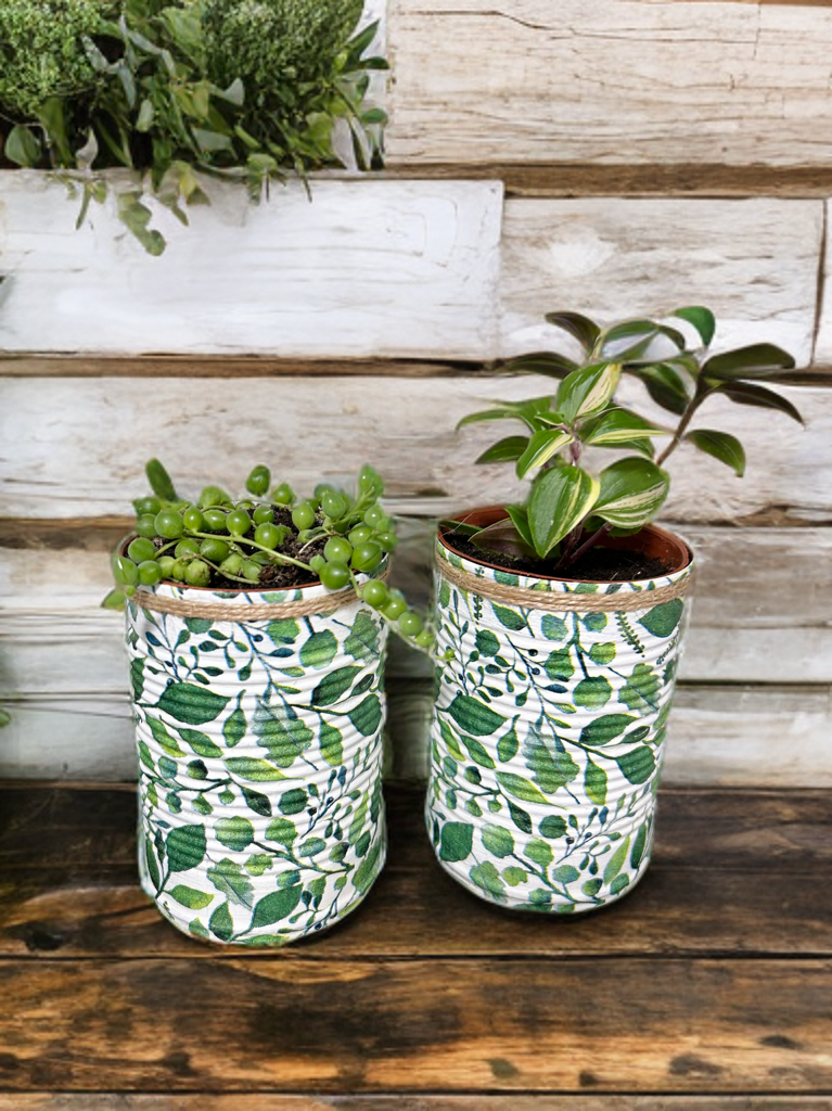 Nature Eucalyptus Leaf Grow Your Own Gift Set