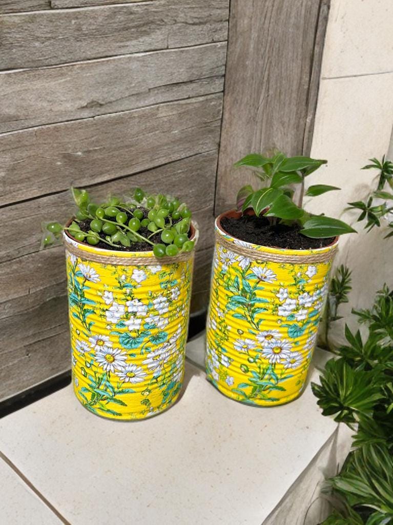 Yellow Daisy Ditsy Grow Your Own Herbs Gift Set