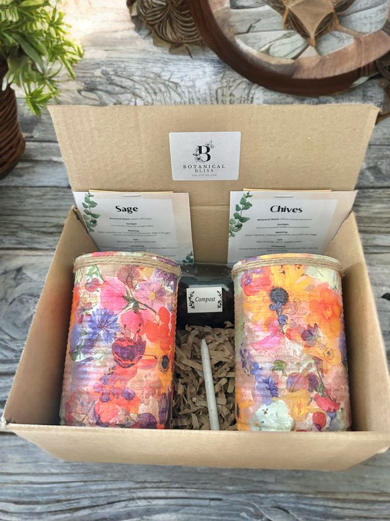 Sunset Paradise Floral Grow Your Own Herb Garden Gift Set