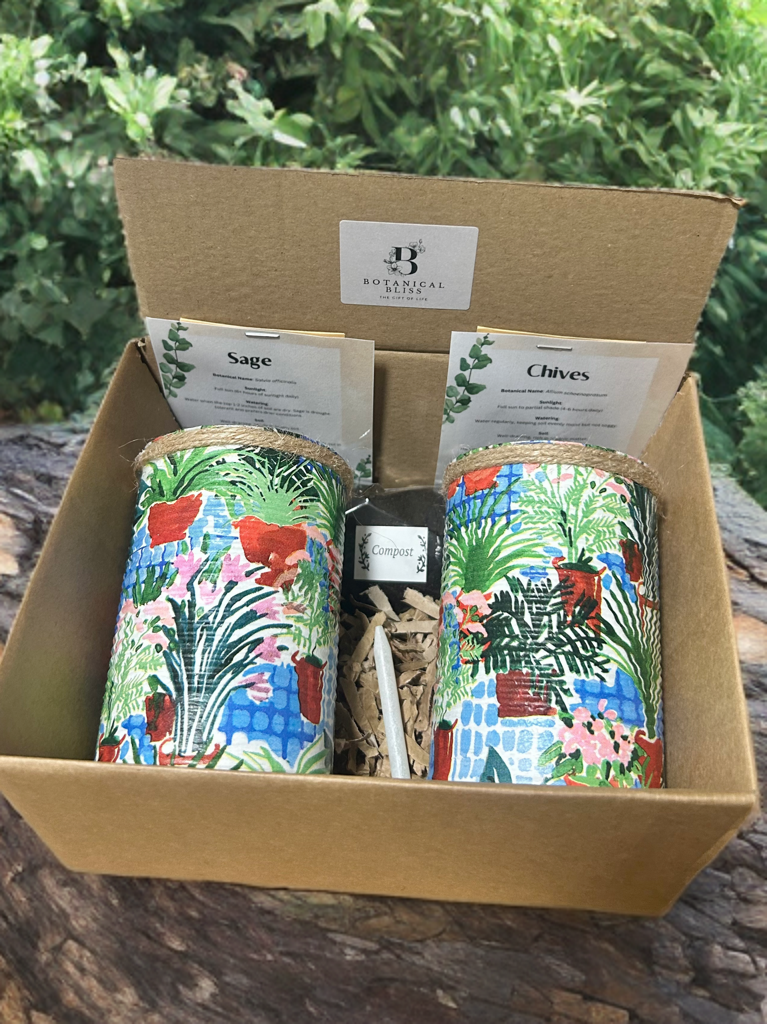Greenhouse Plant Grow Your Own Herb Garden Gift Set