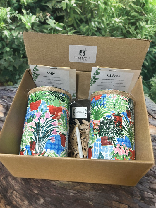 Greenhouse Plant Grow Your Own Herb Garden Gift Set