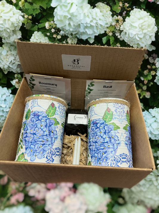 Blue Hydrangea Grow Your Own Herbs Gift Set
