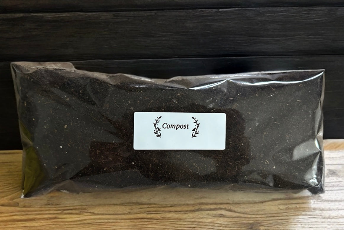 Cream Oriental Floral Grow Your Own Herb Gift Set