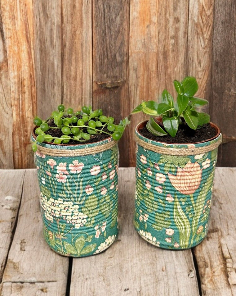 Vintage Grün & Creme Blumenmuster Kräuter selbst anpflanzen Geschenkset