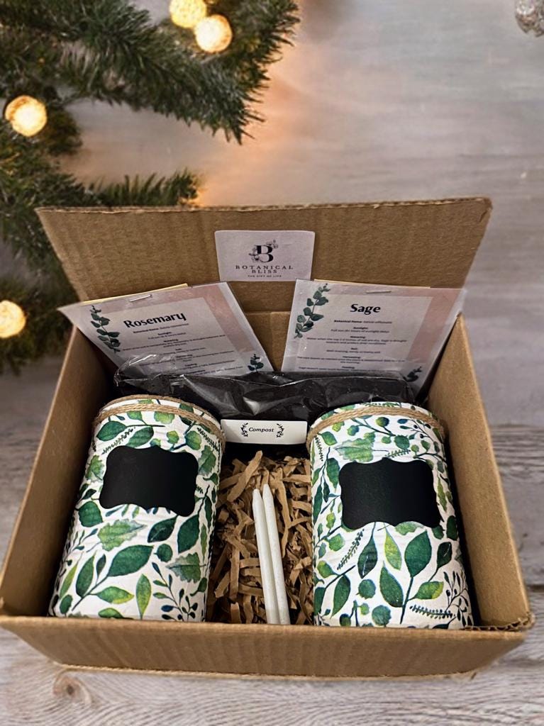 Nature Eucalyptus Leaf Grow Your Own Gift Set