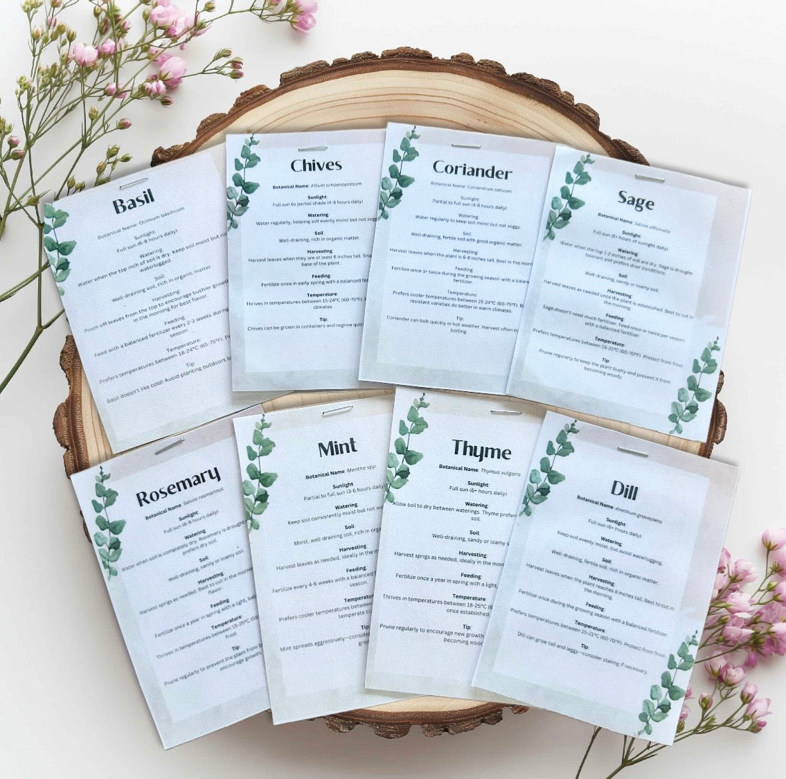 Vintage Green & Orange Floral Grow Your Own Herb Garden Gift Set