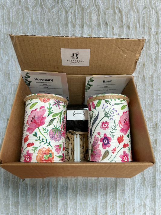 Whimsical Garden Grow Your Own Herbs Gift Set