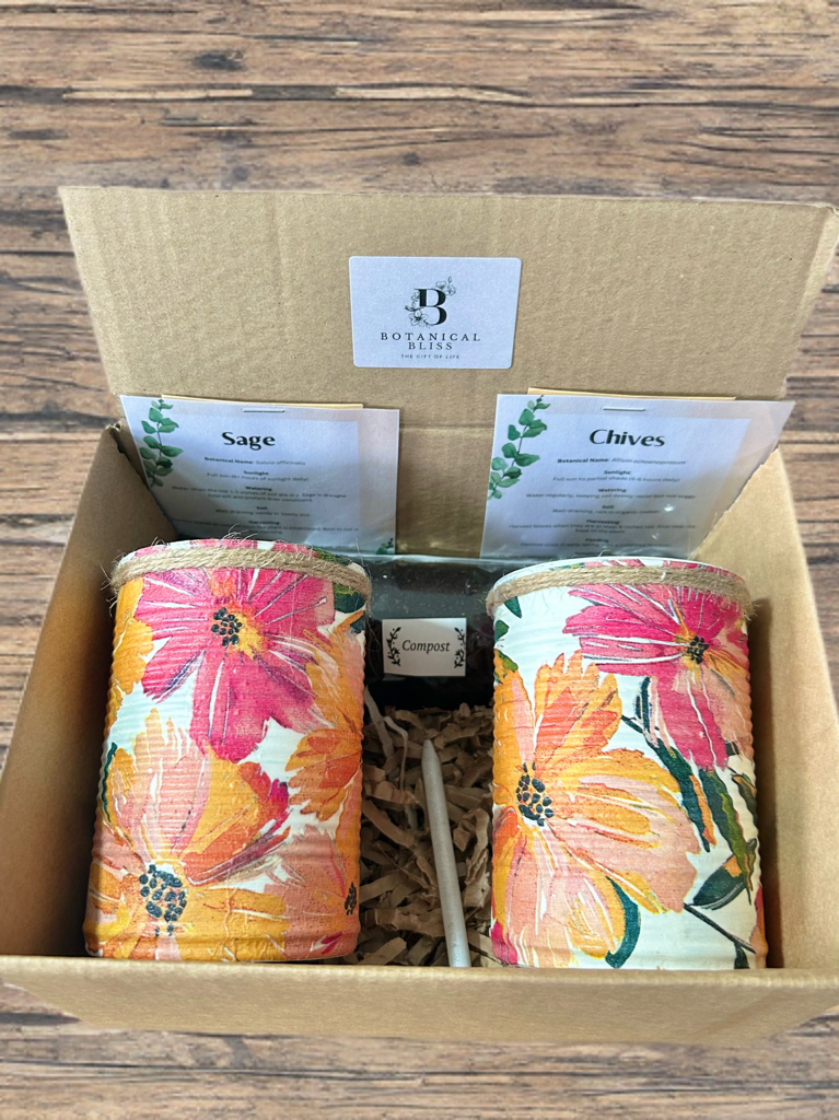 Golden Hour Garden Grow Your Own Herb Garden Gift Set
