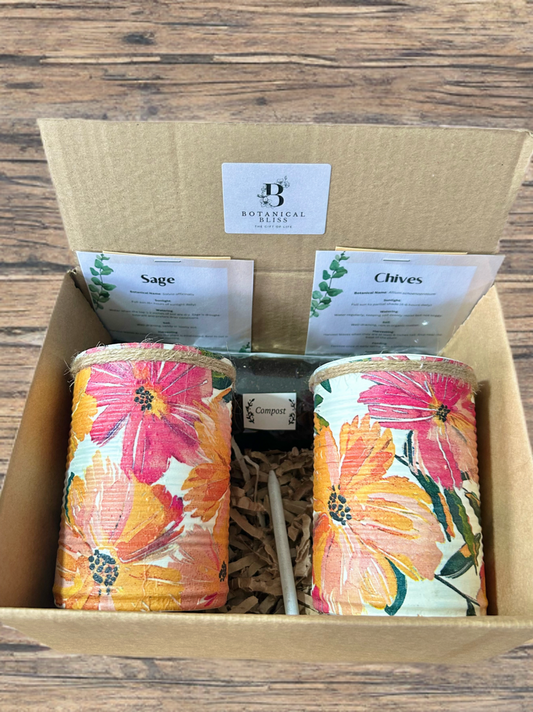 Golden Hour Garden Grow Your Own Herb Garden Gift Set